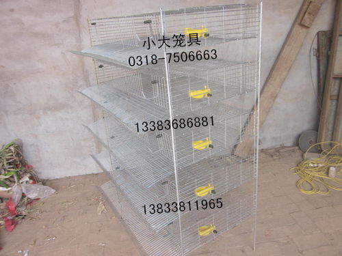 生产鸡鸽兔笼 鹌鹑笼 兔子笼 鸽子笼 狐狸笼 宠物笼 运输笼 食盒 饮水器 养殖用品